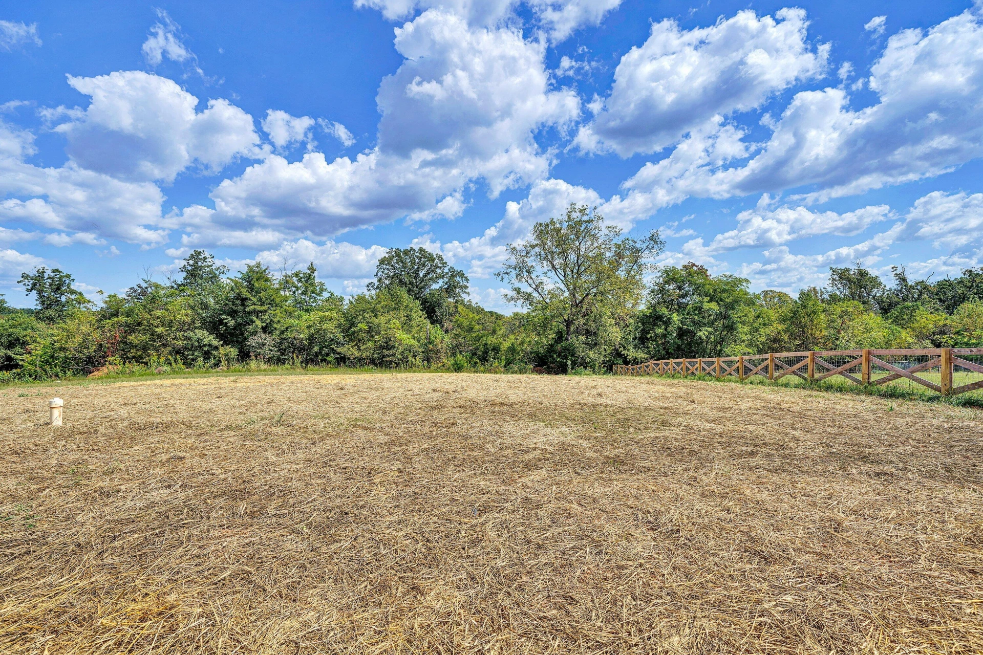 2236 Lipscomb RD - Photo 33