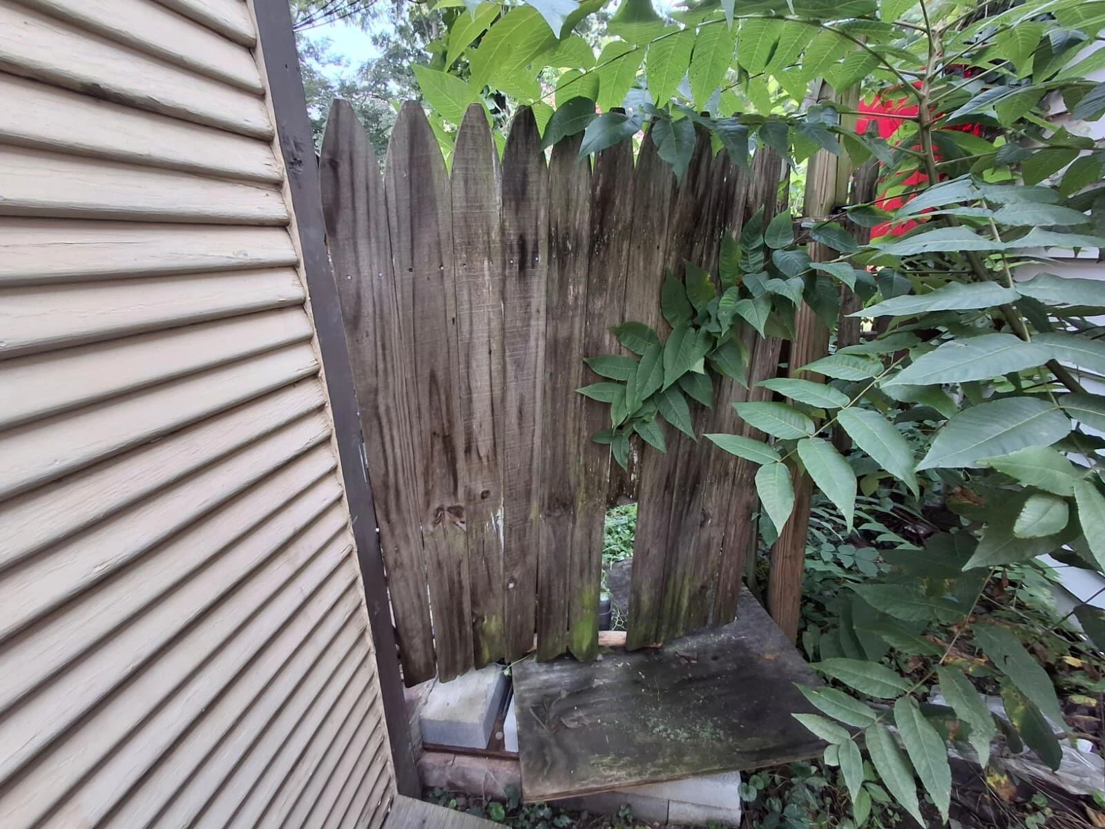 1503 Wise AVE SE - Photo 41