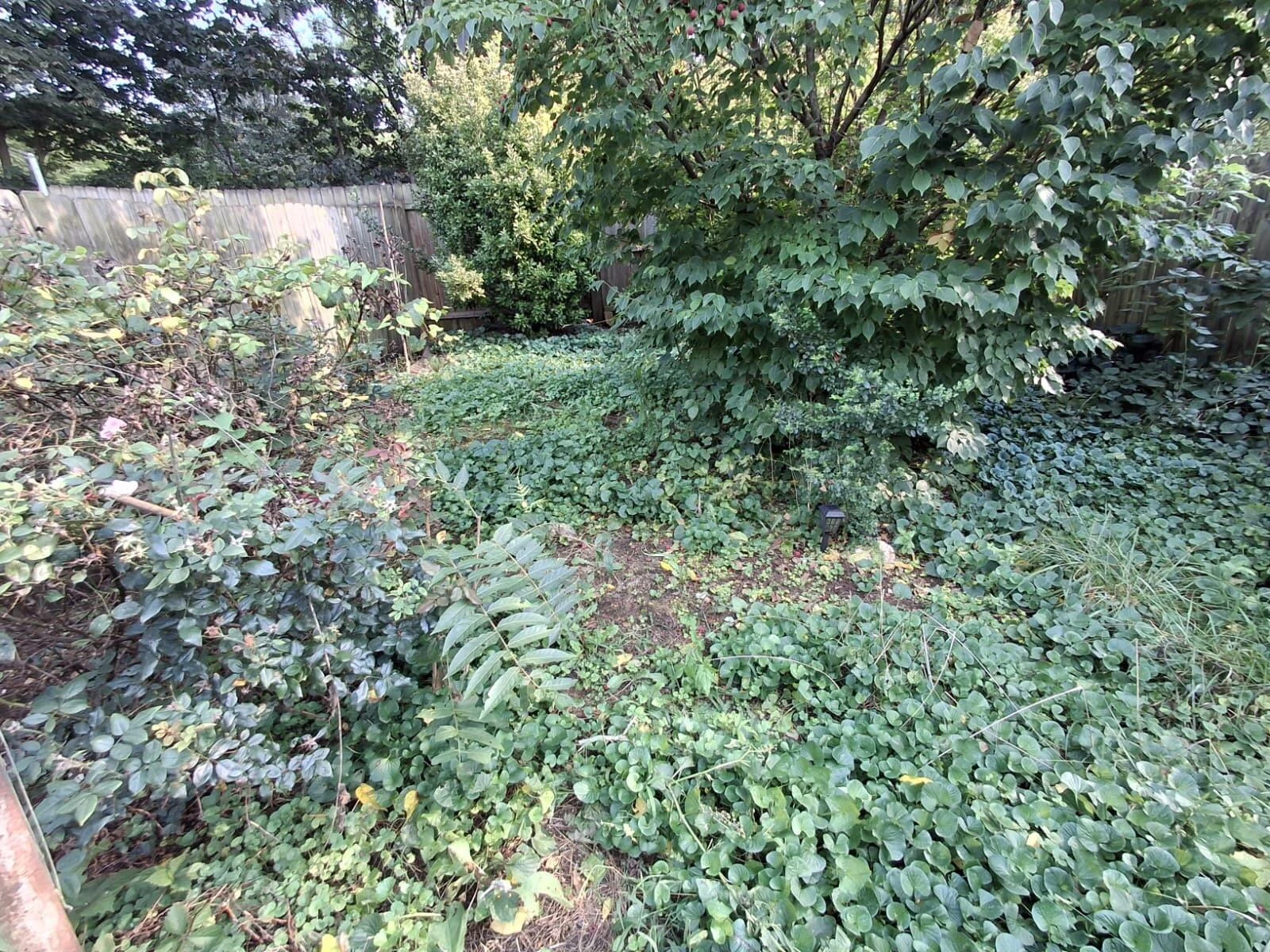 1503 Wise AVE SE - Photo 48