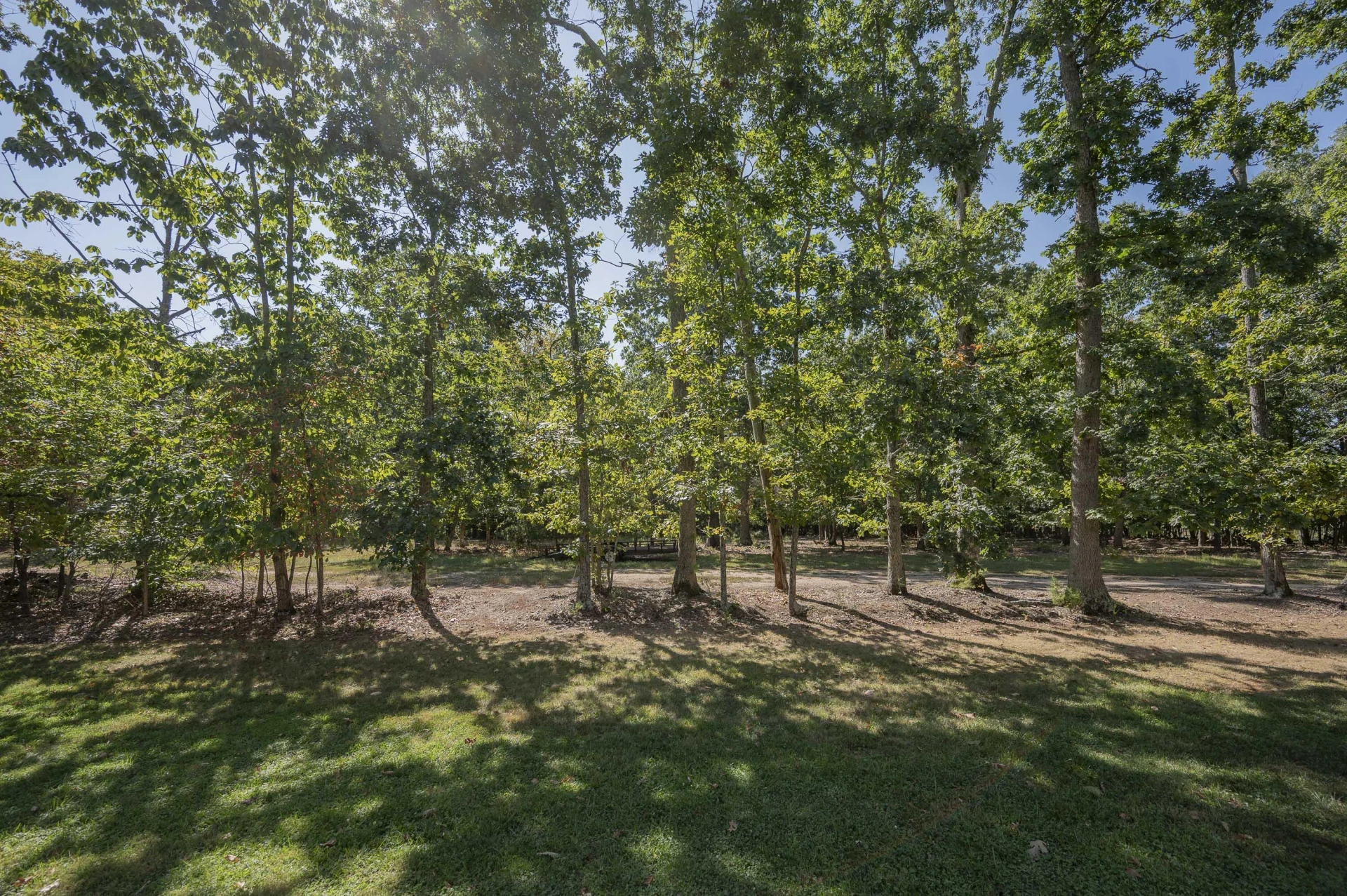 2815 Cobbs Mountain RD - Photo 46