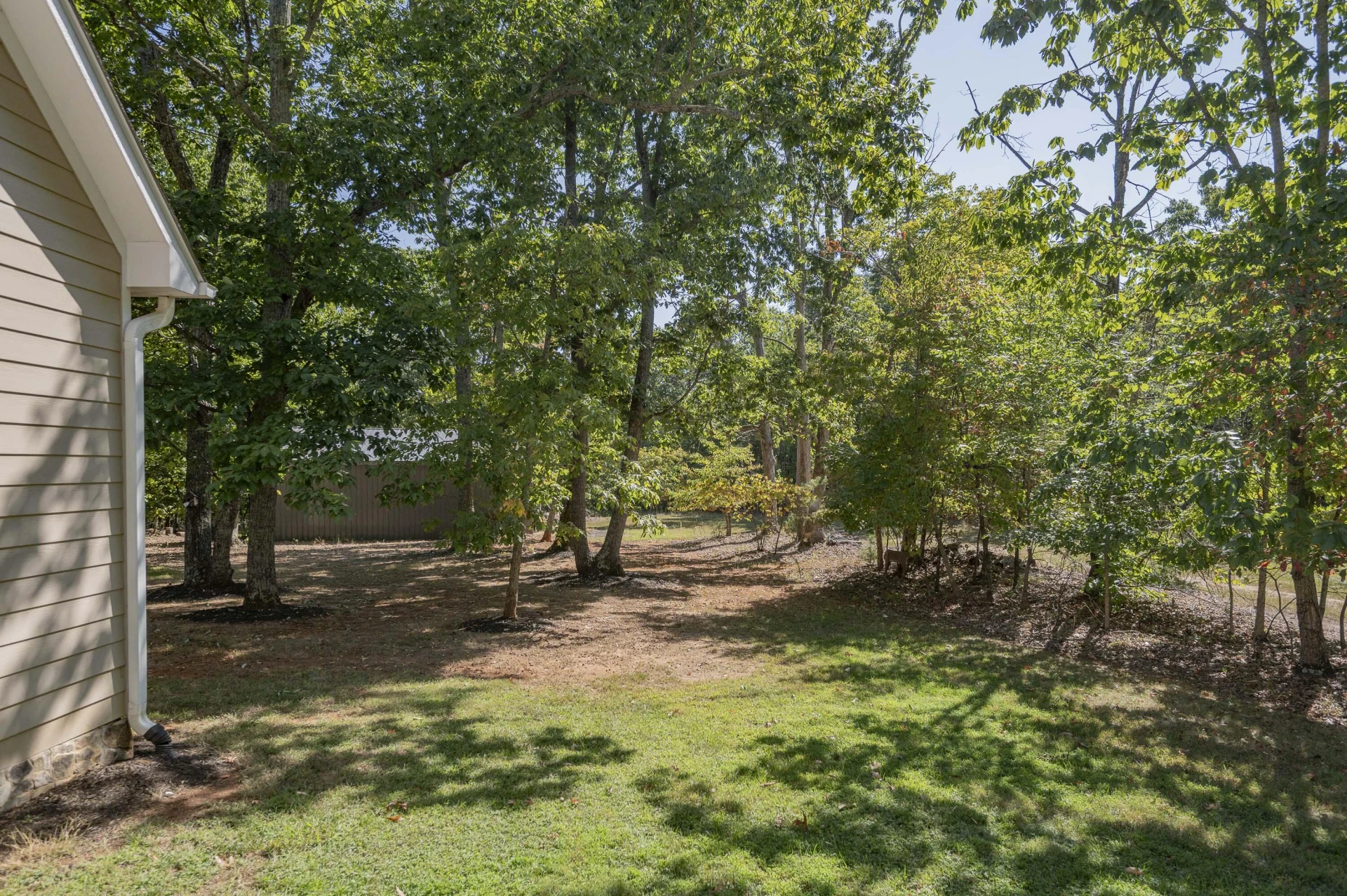 2815 Cobbs Mountain RD - Photo 48
