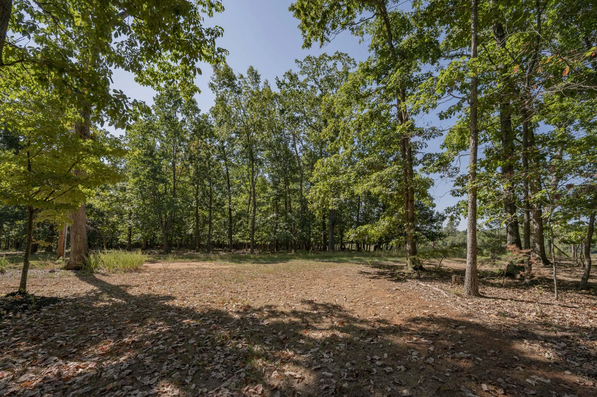 2815 Cobbs Mountain RD - Photo 56