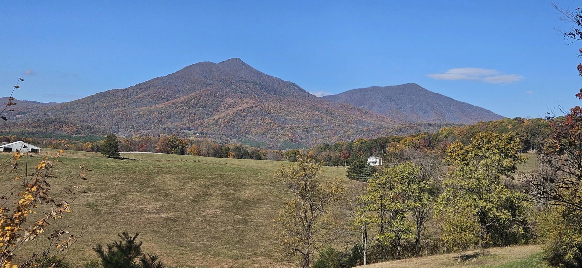 2815 Cobbs Mountain RD - Photo 69
