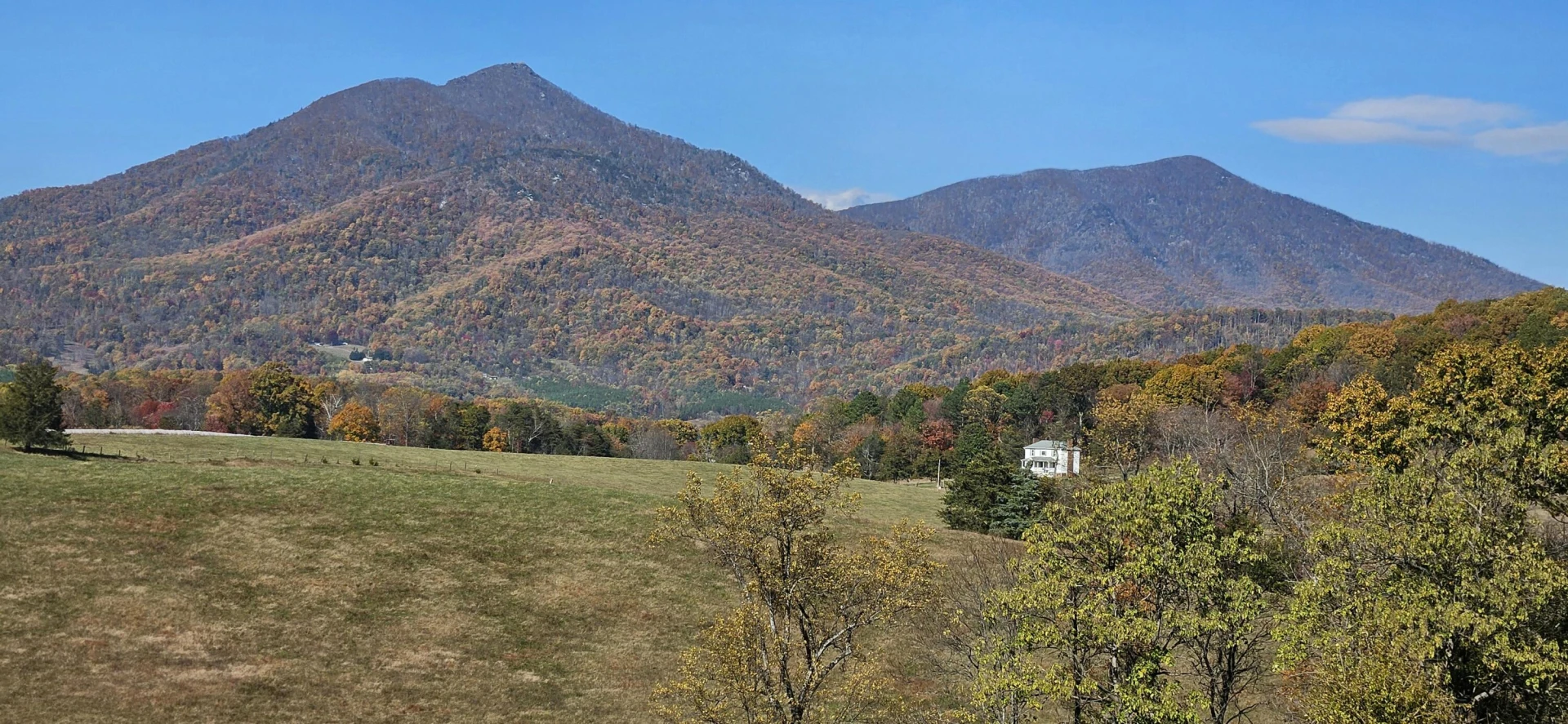 2815 Cobbs Mountain RD - Photo 70