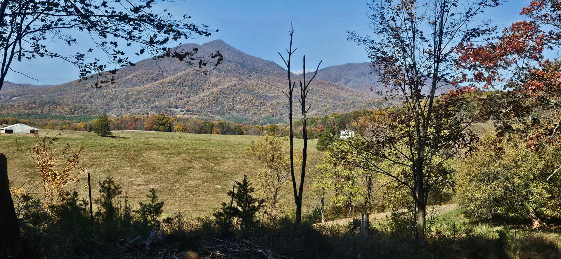 2815 Cobbs Mountain RD - Photo 71