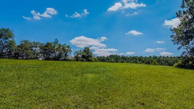 0 Free Union RD - Photo 5