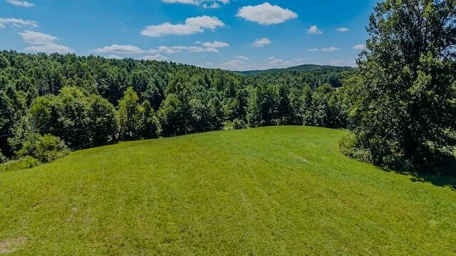 0 Free Union RD - Photo 6