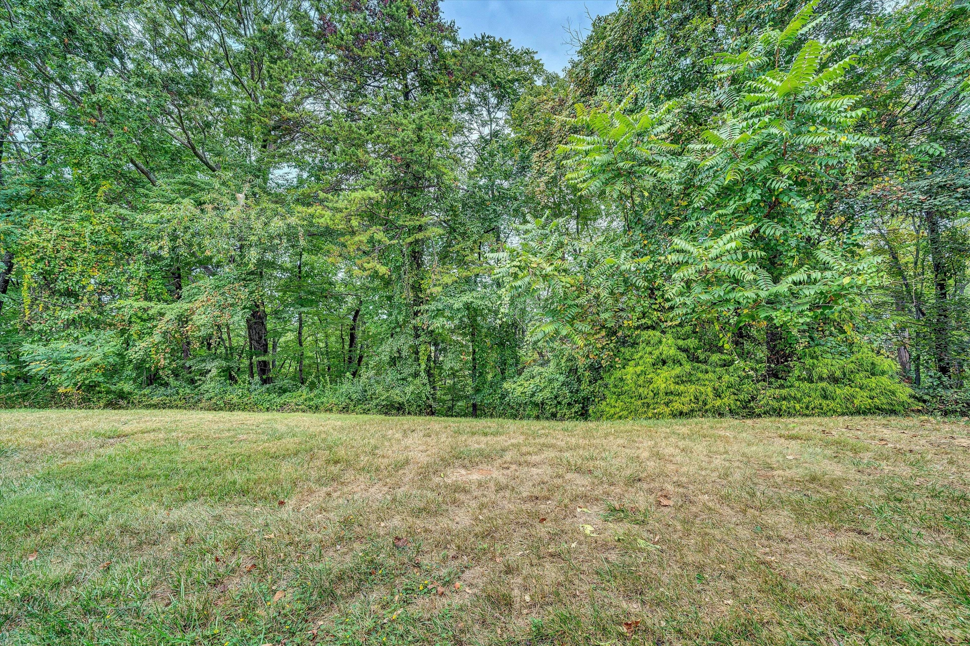 3543 Londonderry LN - Photo 40