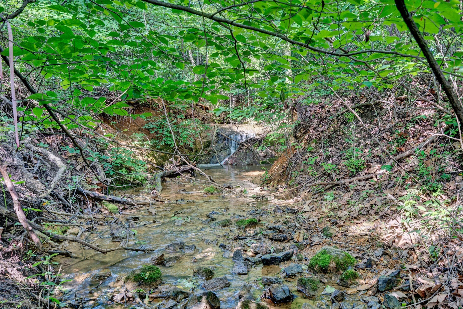 244 Catawba RD - Photo 41