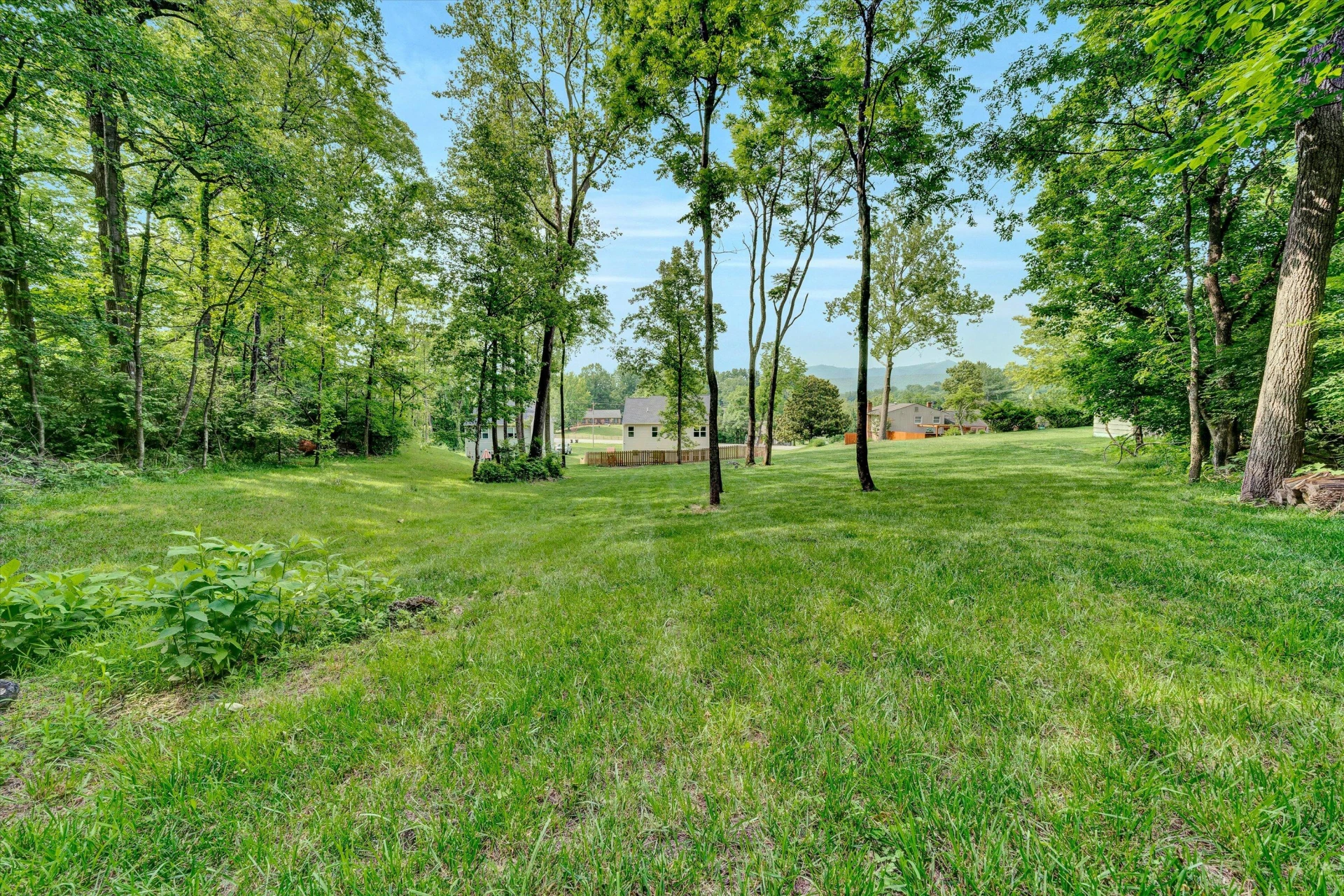 244 Catawba RD - Photo 42