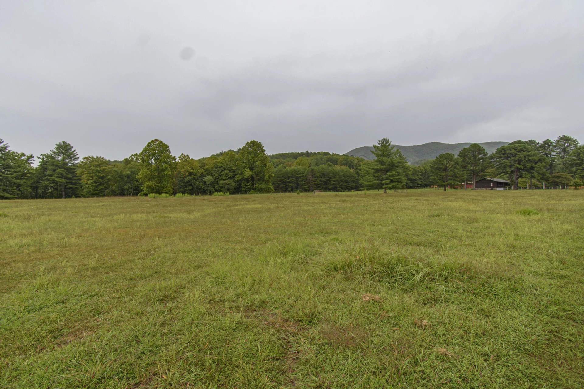 7083 Foxfire RD - Photo 119