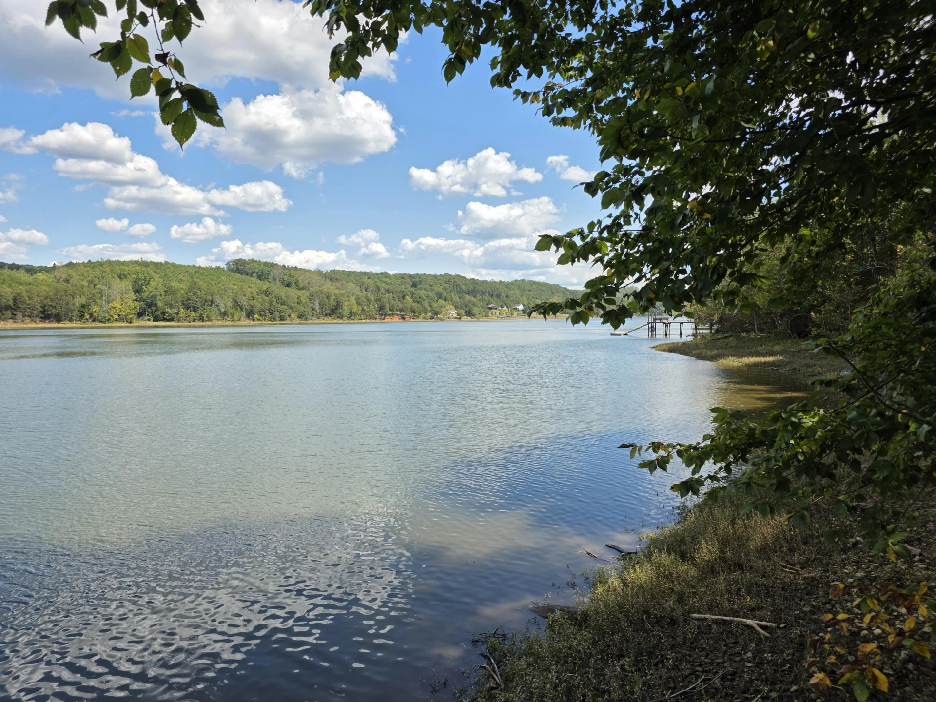 2303 Moss Meadows DR - Photo 54