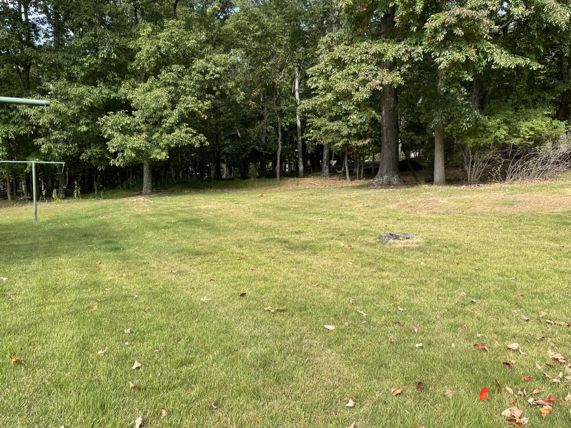 2206 Coachman DR - Photo 46