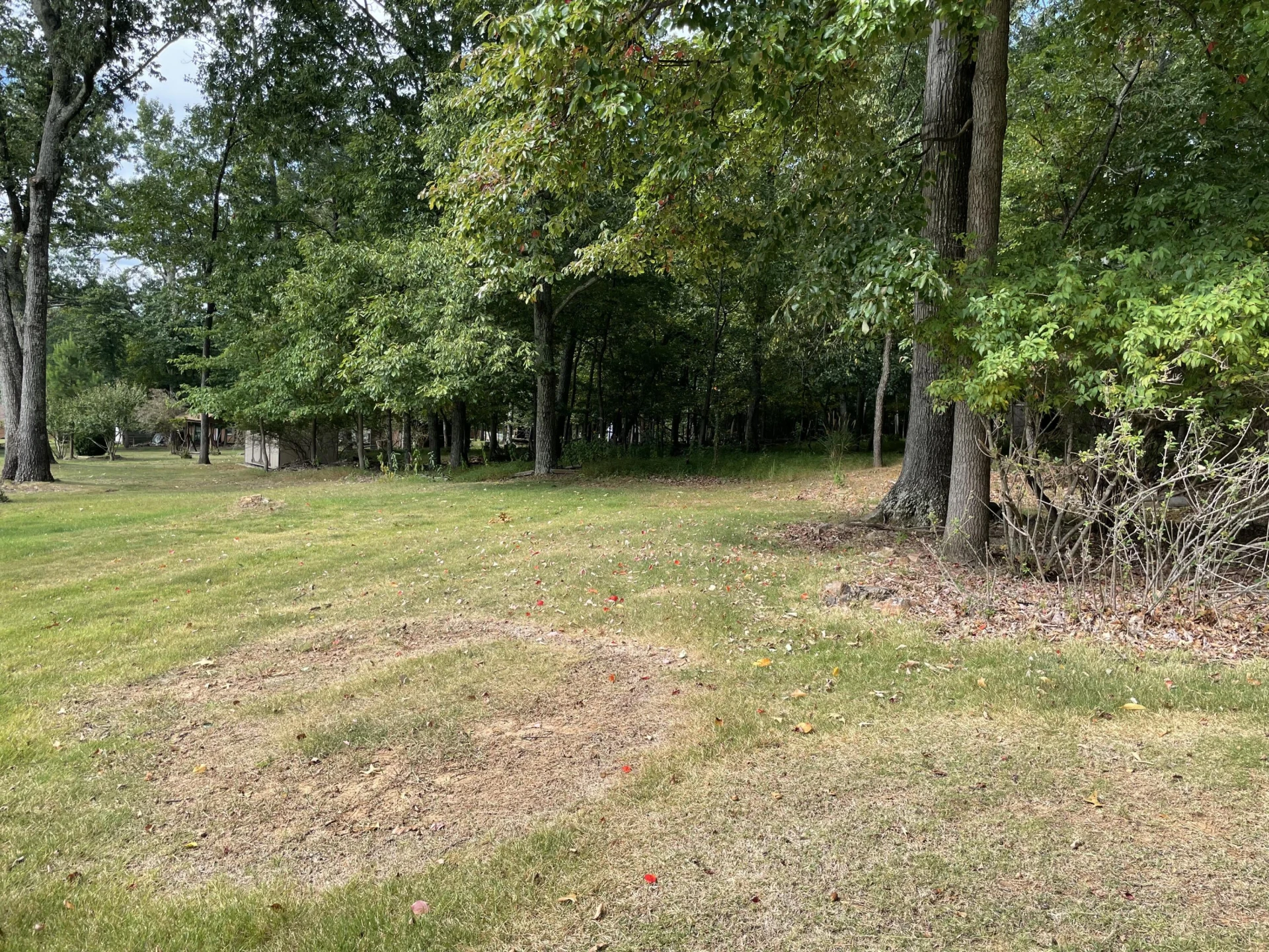 2206 Coachman DR - Photo 49