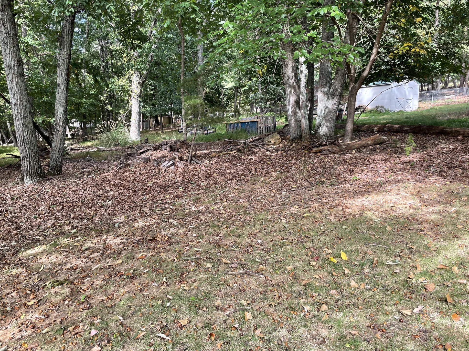 2206 Coachman DR - Photo 51