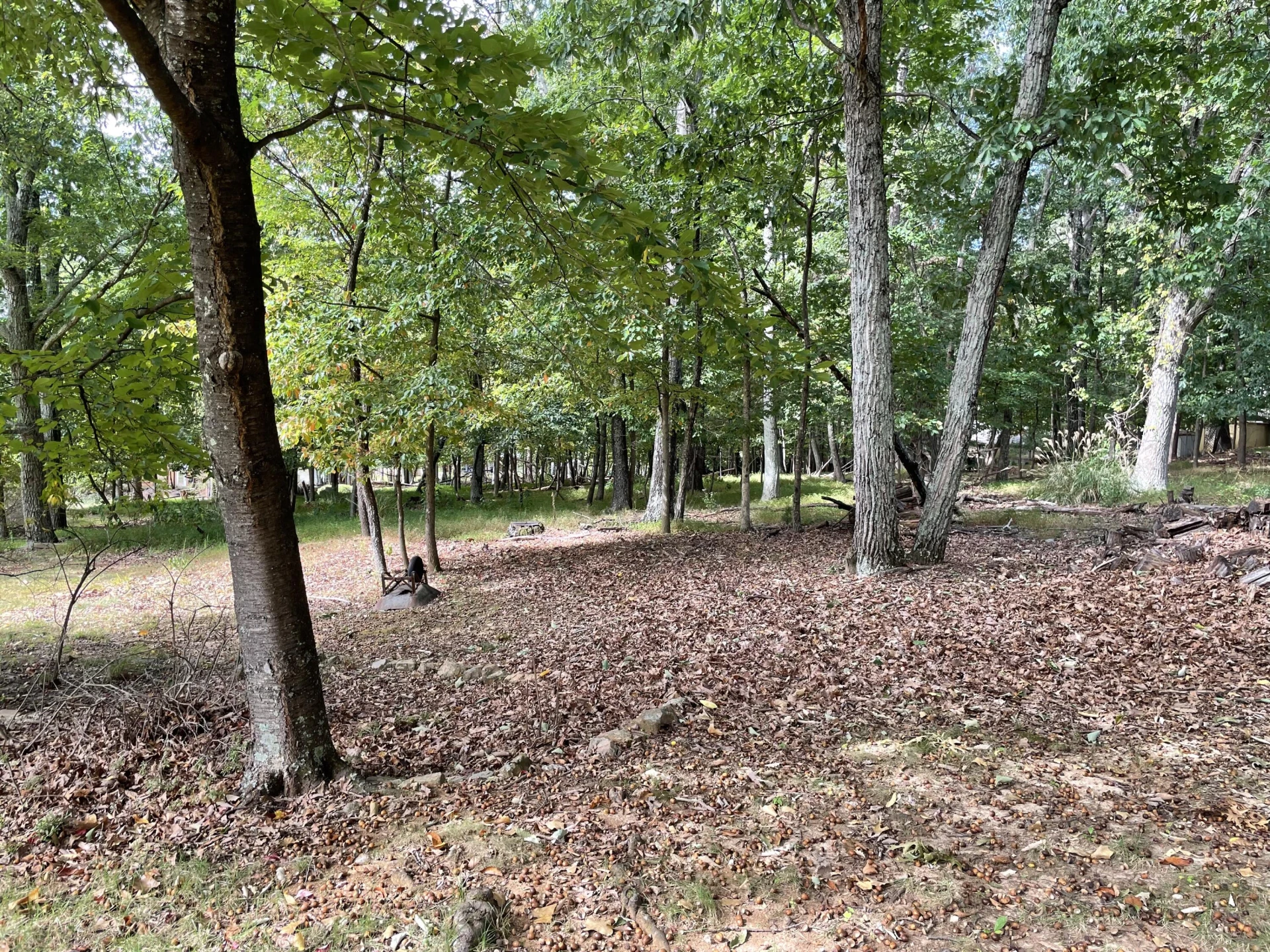 2206 Coachman DR - Photo 52