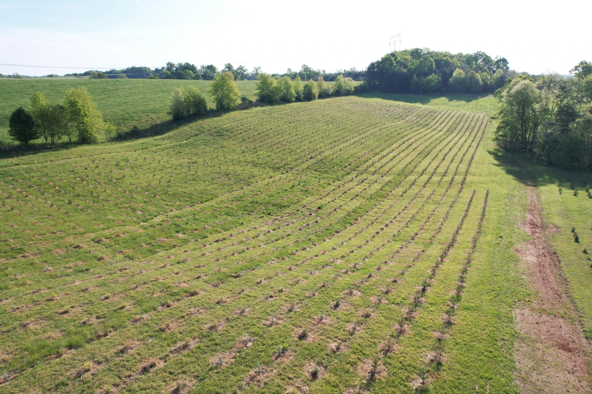 2392 Mountain Valley RD - Photo 11