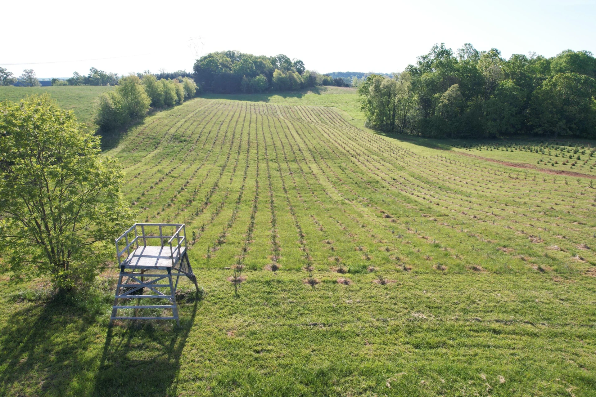 2392 Mountain Valley RD - Photo 12