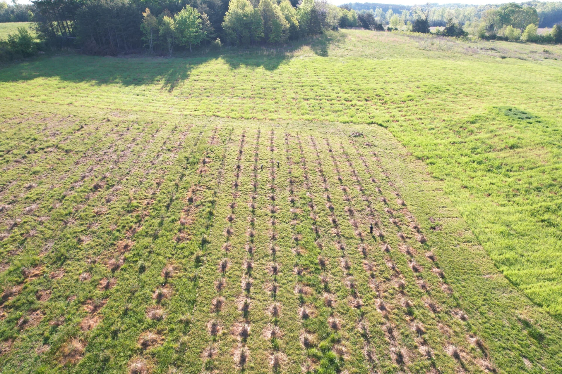 2392 Mountain Valley RD - Photo 40