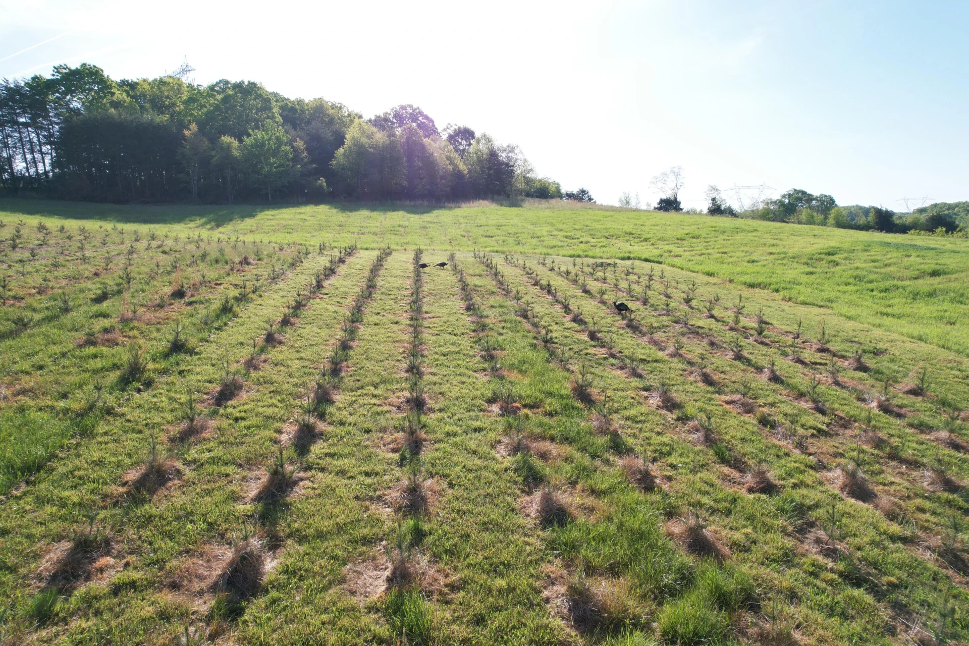 2392 Mountain Valley RD - Photo 41
