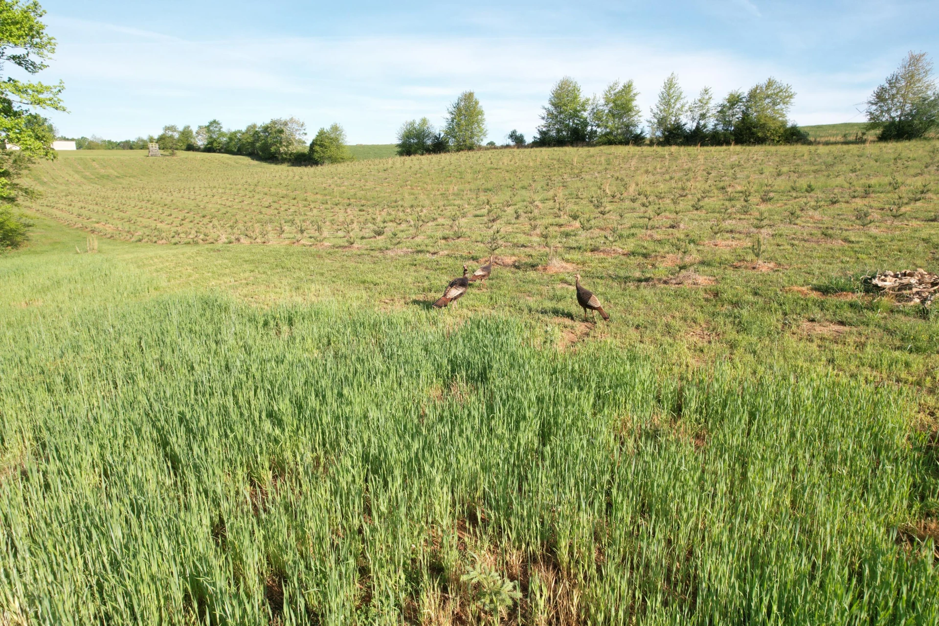 2392 Mountain Valley RD - Photo 43