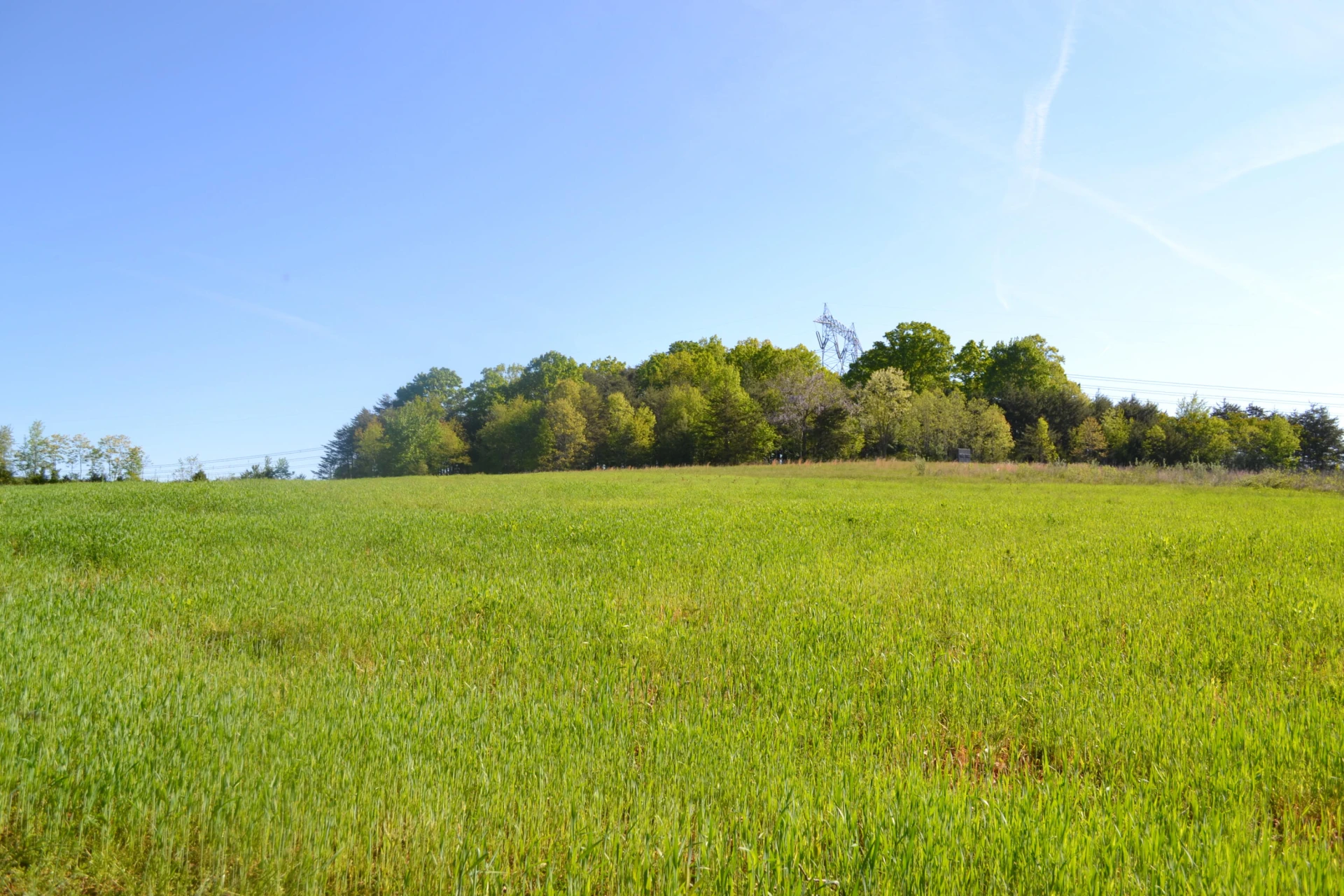 2392 Mountain Valley RD - Photo 45