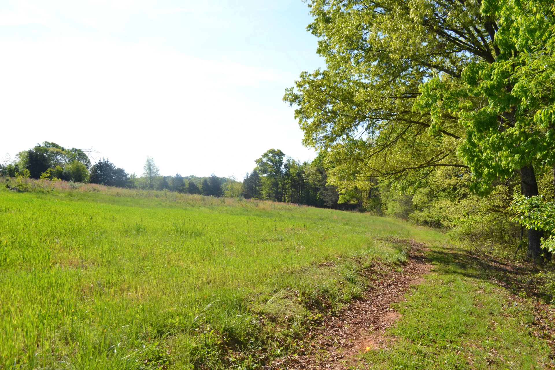 2392 Mountain Valley RD - Photo 47