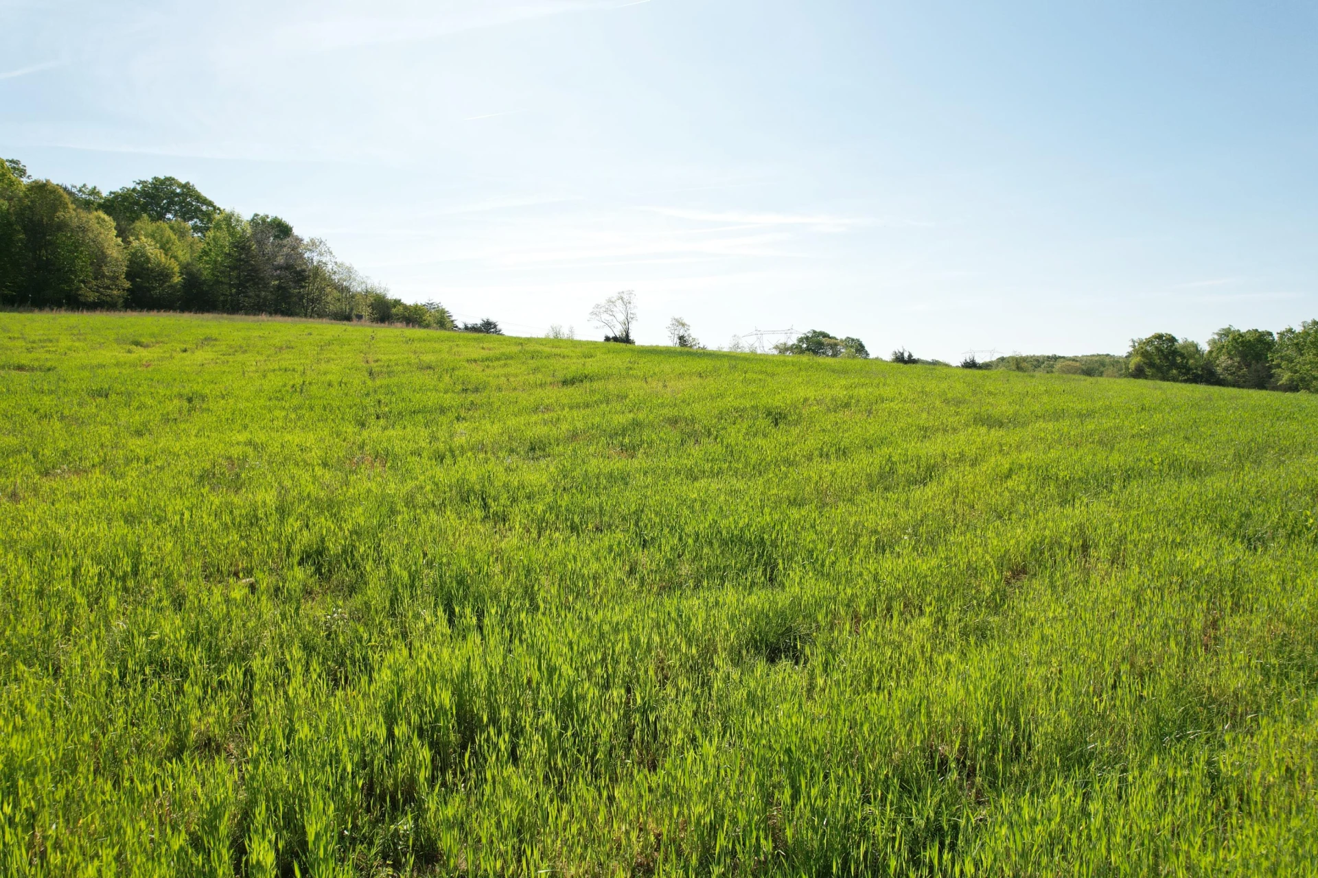 2392 Mountain Valley RD - Photo 50