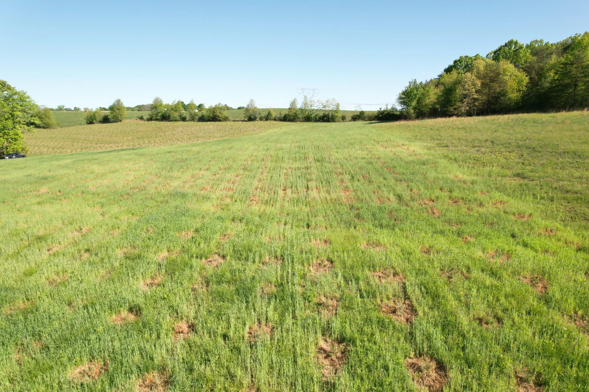 2392 Mountain Valley RD - Photo 52