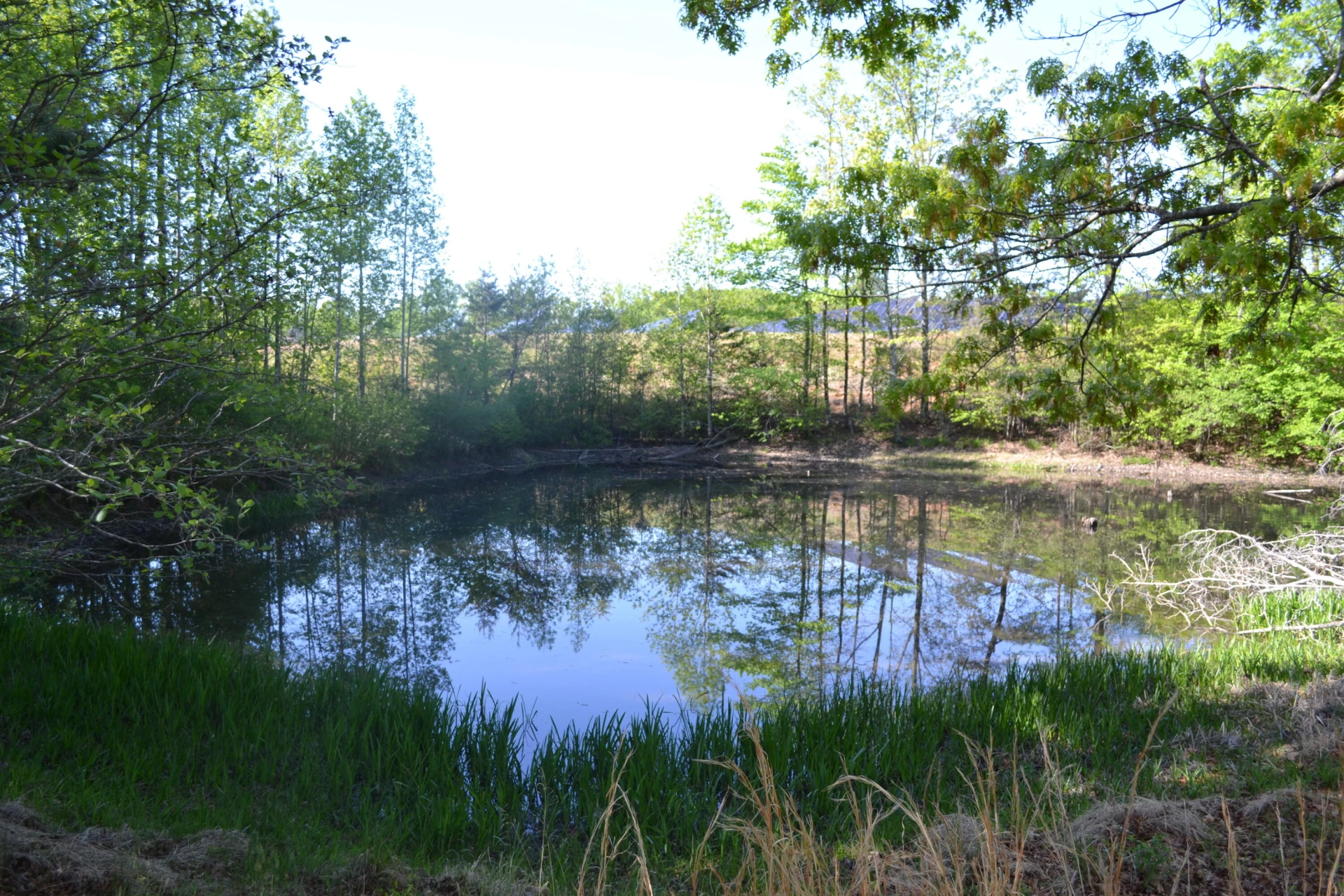 2392 Mountain Valley RD - Photo 55