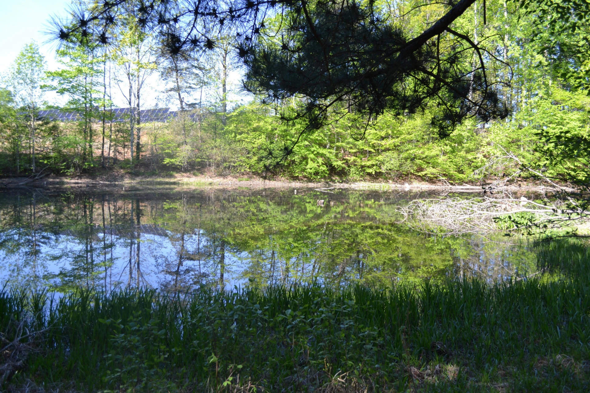 2392 Mountain Valley RD - Photo 57