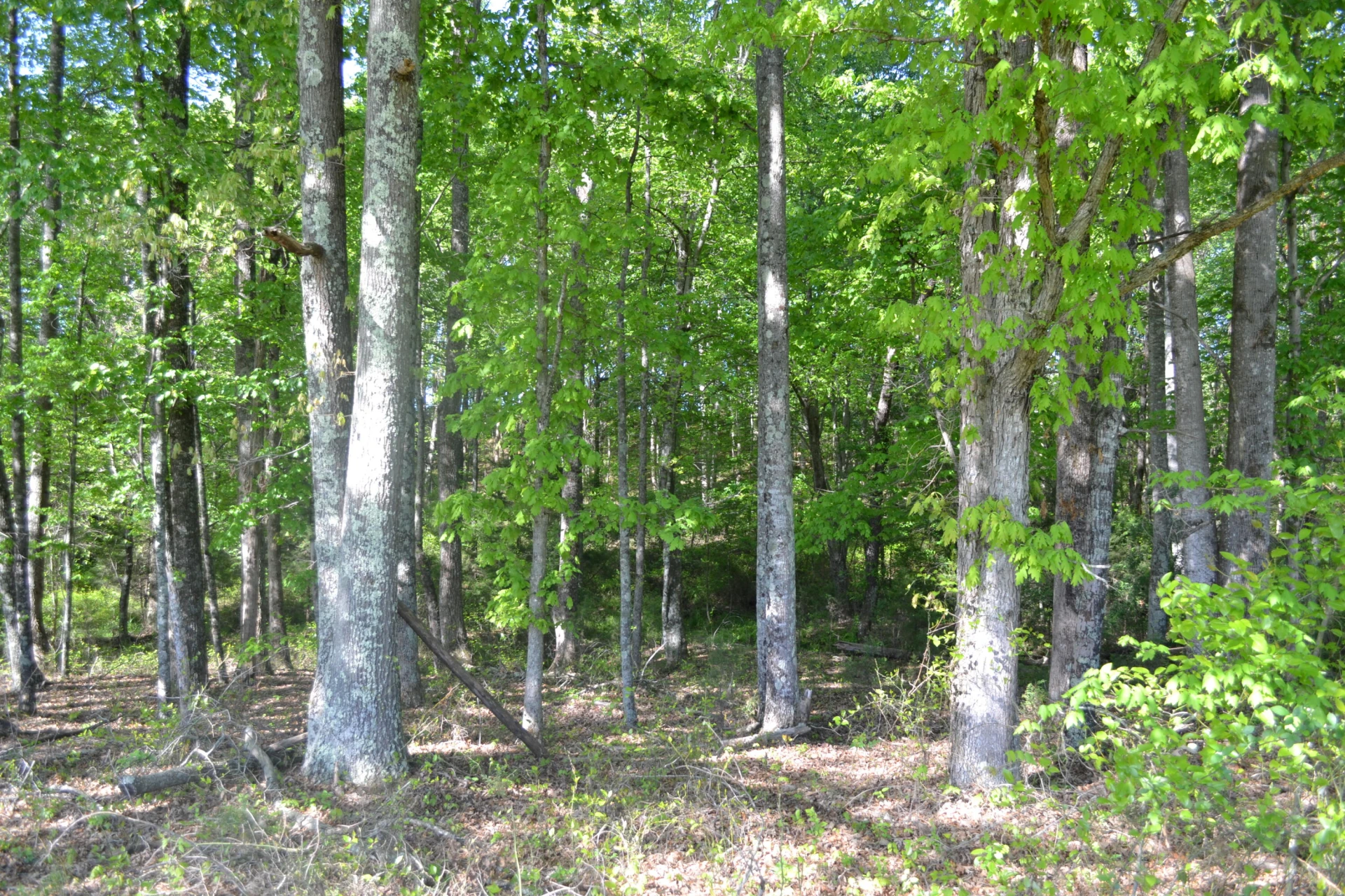 2392 Mountain Valley RD - Photo 60
