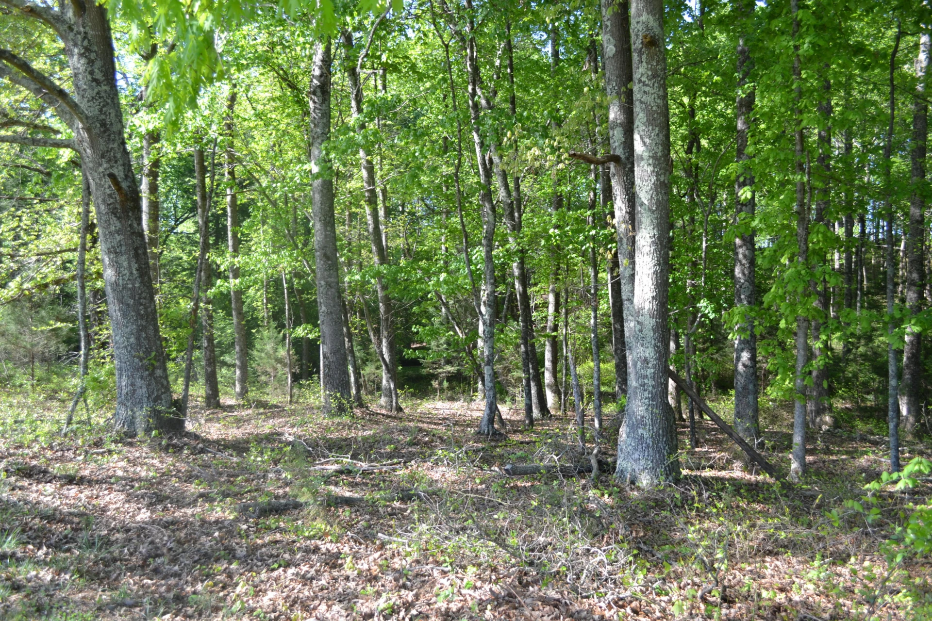 2392 Mountain Valley RD - Photo 61