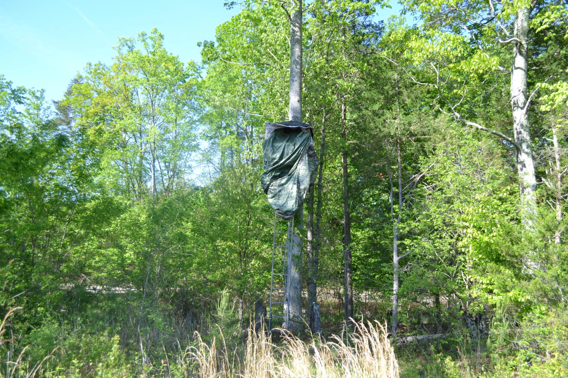 2392 Mountain Valley RD - Photo 62