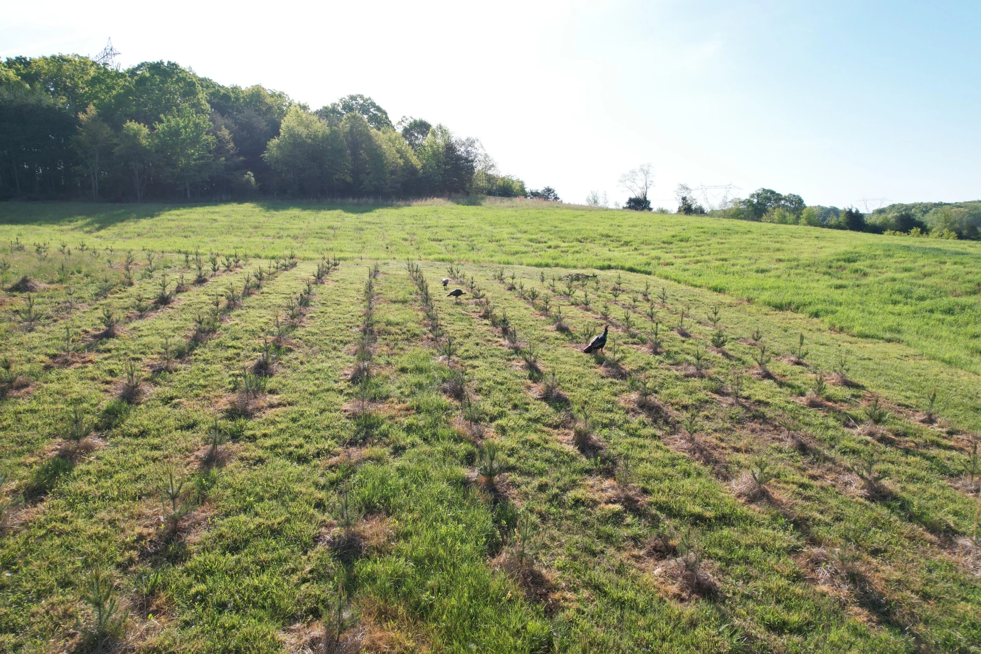2392 Mountain Valley RD - Photo 68