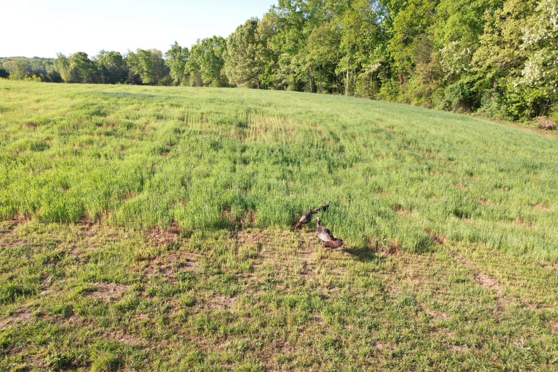 2392 Mountain Valley RD - Photo 69