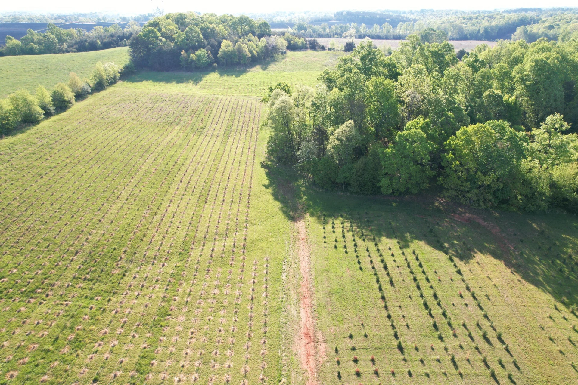 2392 Mountain Valley RD - Photo 72