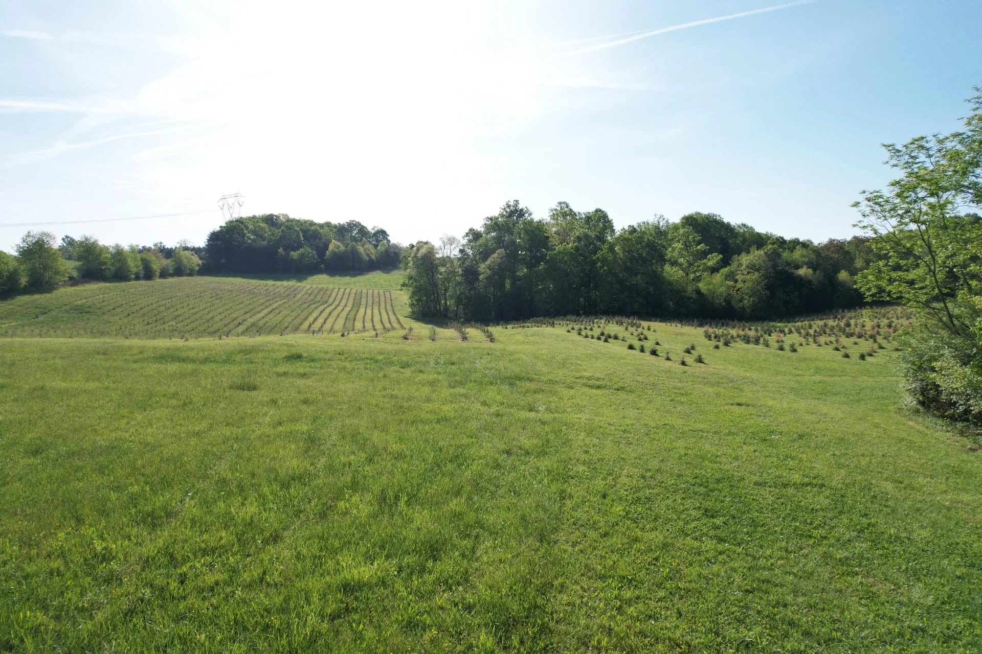 2392 Mountain Valley RD - Photo 73