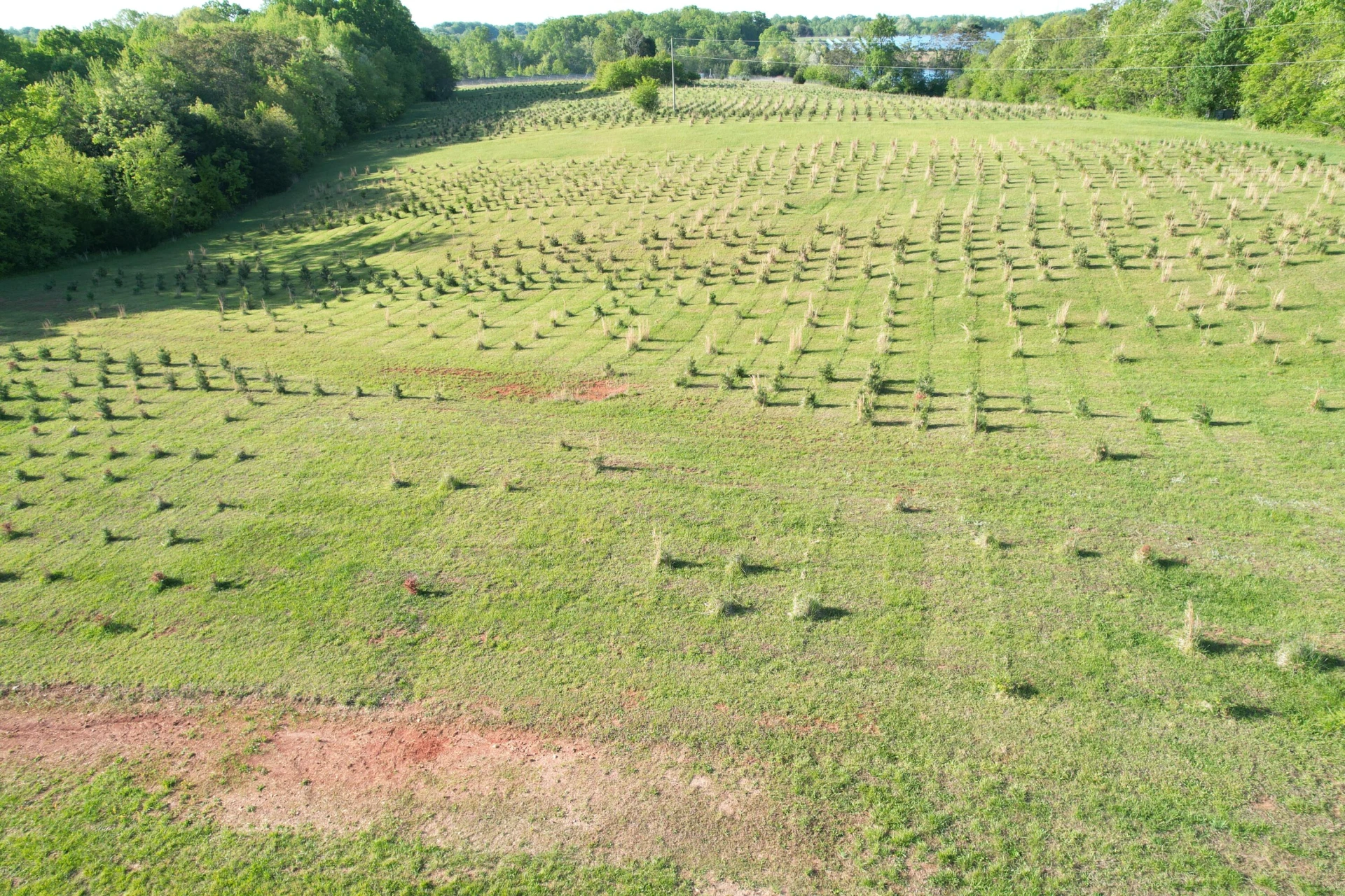 2392 Mountain Valley RD - Photo 10