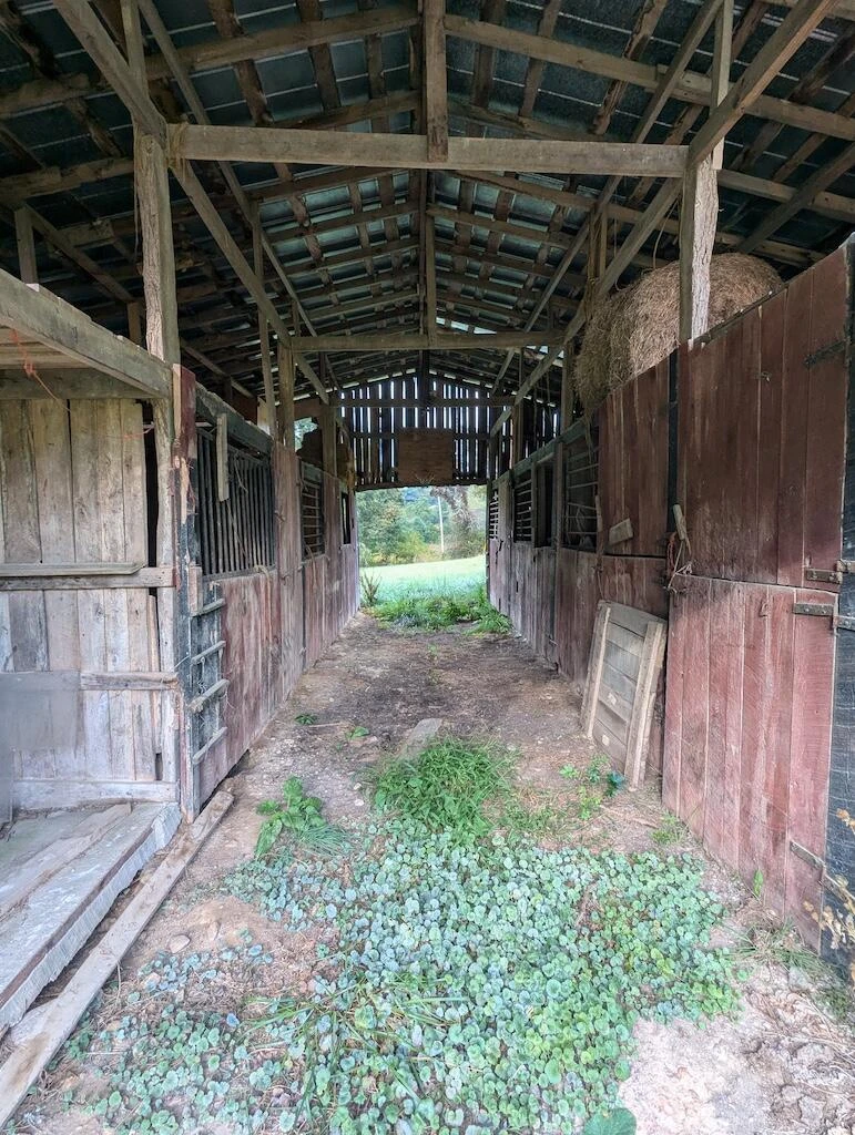 5721 Riner RD - Photo 24
