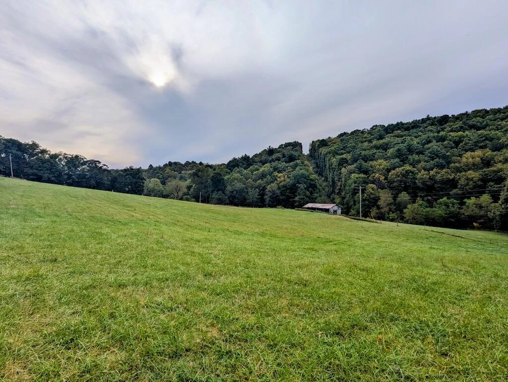 5721 Riner RD - Photo 28