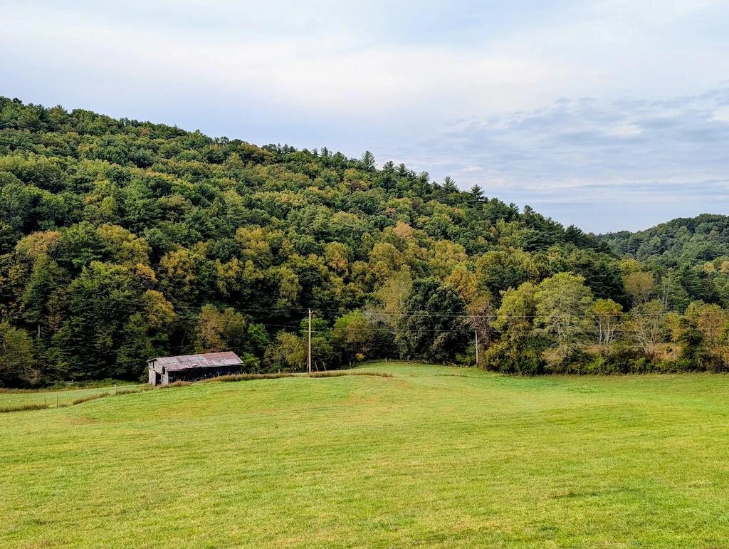 5721 Riner RD - Photo 4