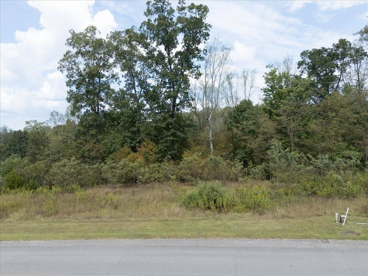Lot 21 Watchtower DR