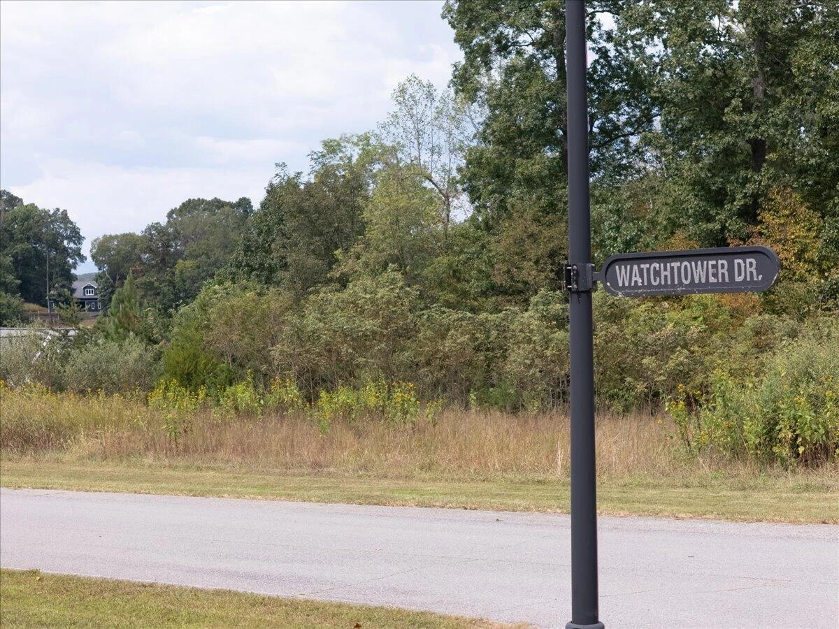 Lot 21 Watchtower DR - Photo 11