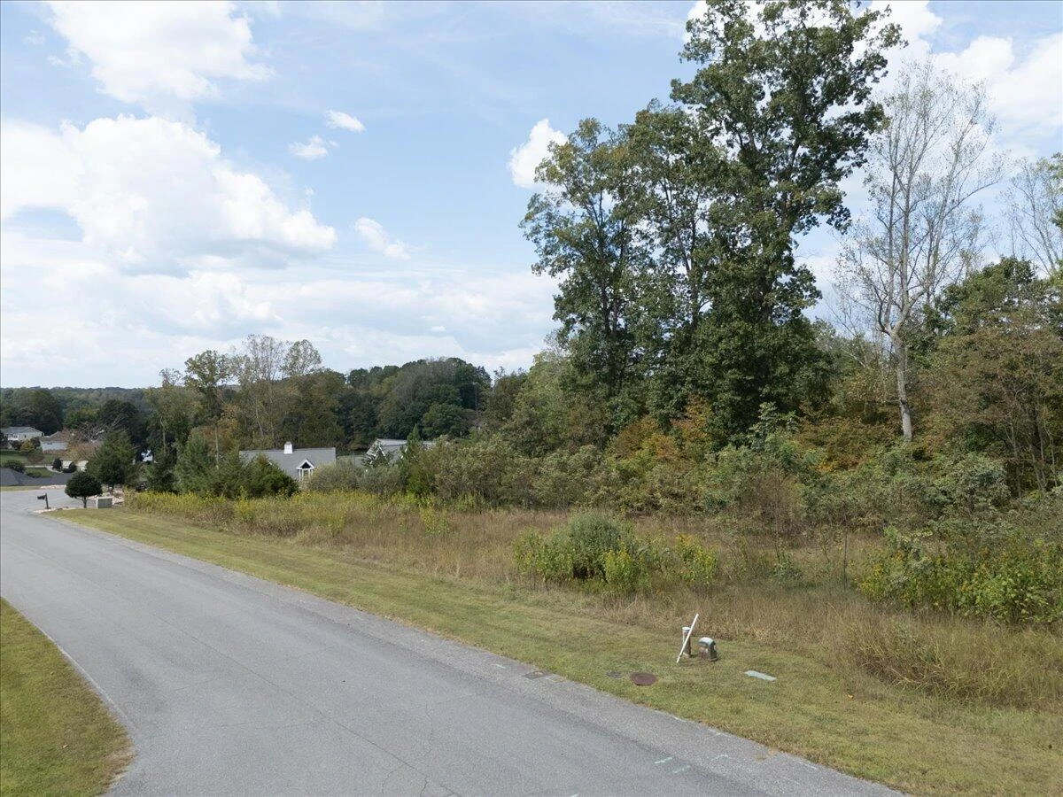 Lot 21 Watchtower DR - Photo 2