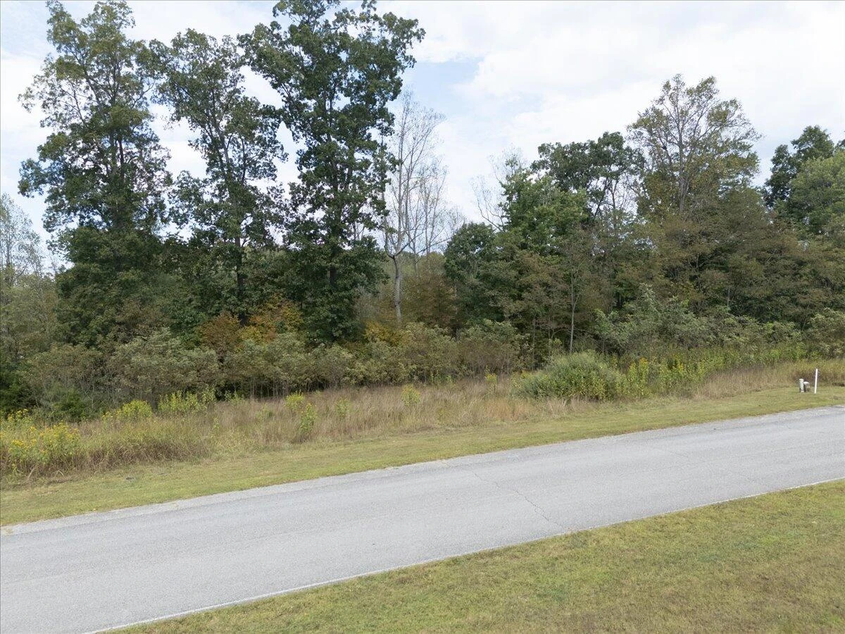 Lot 21 Watchtower DR - Photo 3