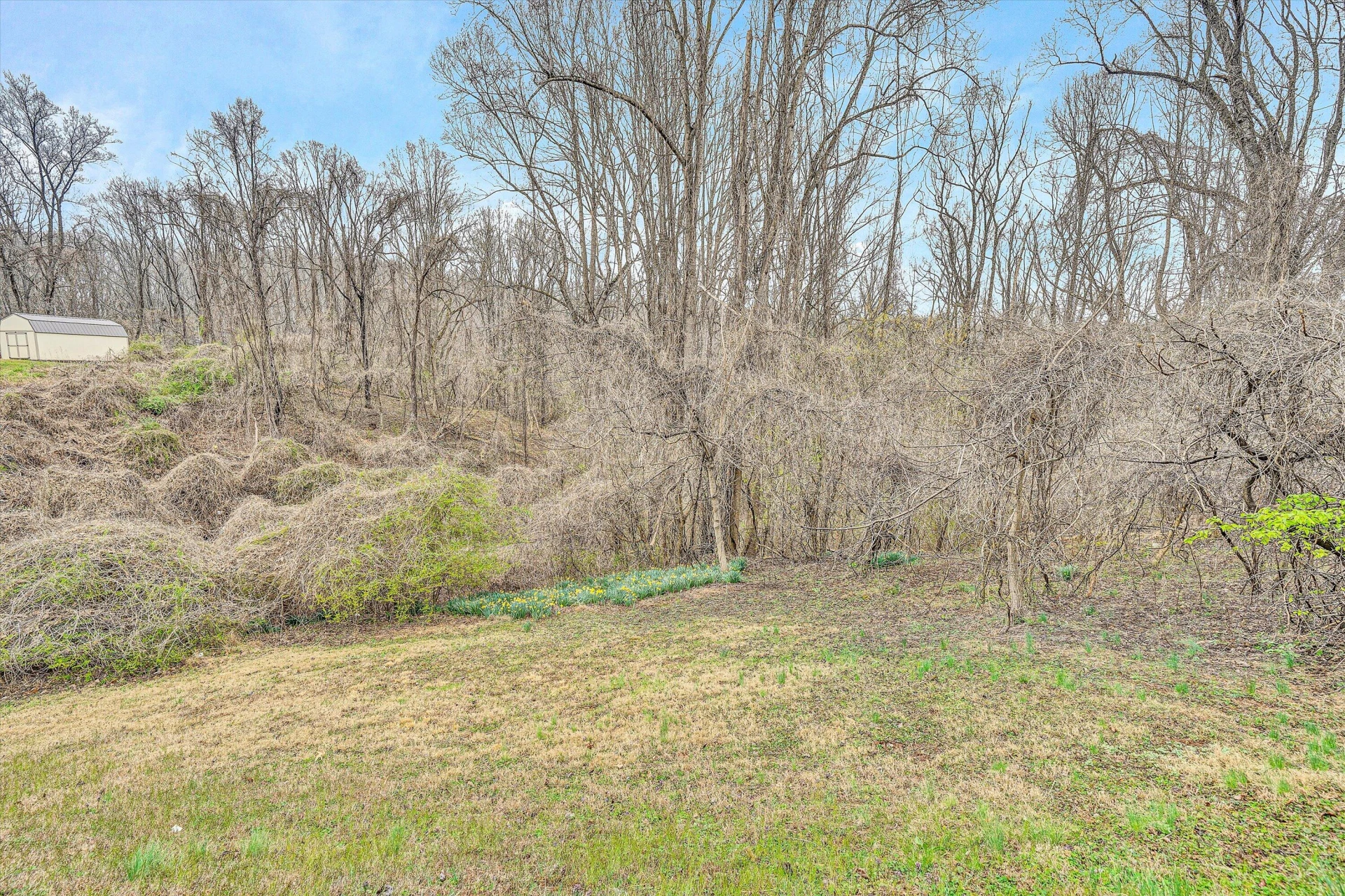 1669 ROUNDABOUT RD - Photo 23