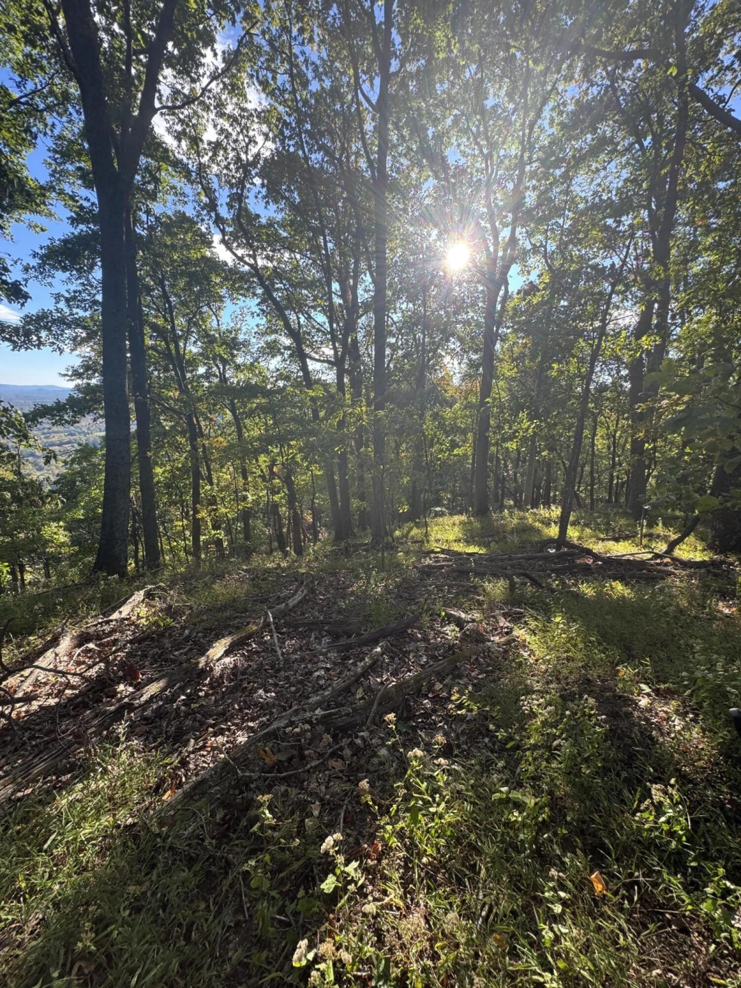 LOT 16 MOUNTIAN GAP RD - Photo 3