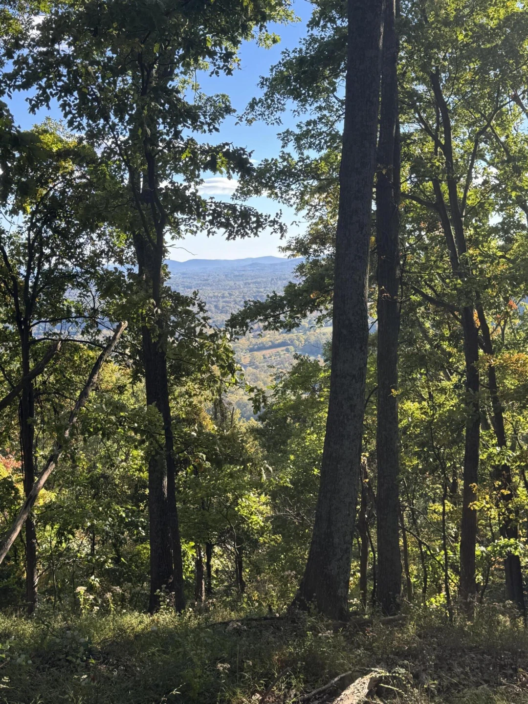 LOT 16 MOUNTIAN GAP RD - Photo 5