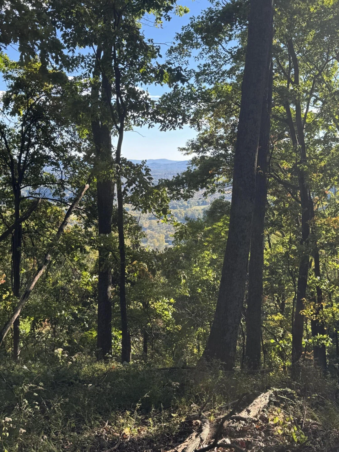 LOT 16 MOUNTIAN GAP RD - Photo 6